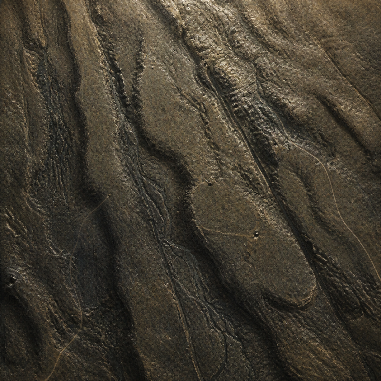 A square relief-like terrain rendered in umber, charcoal, and pale mineral tones.
